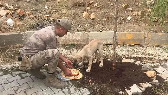 Elazığ'da jandarmadan 4 Ekim Dünya Hayvanları Koruma Günü etkinliği