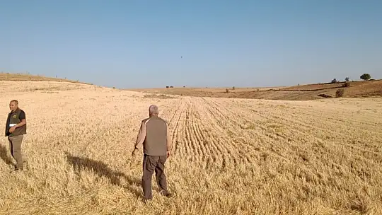 Elazığ'da kaçak avcı denetiminde bıldırcın sesi çıkaran cihaz ele geçirildi