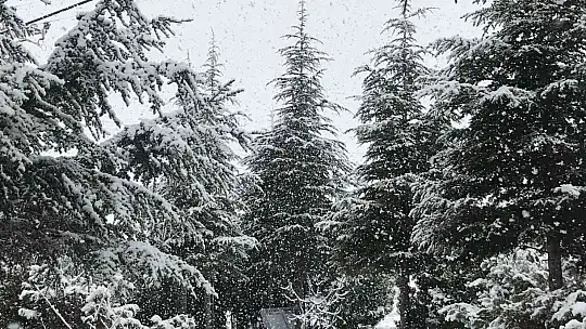 Elazığ'da kar yeniden başladı
