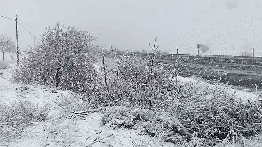 Elazığ'da kar yeniden başladı