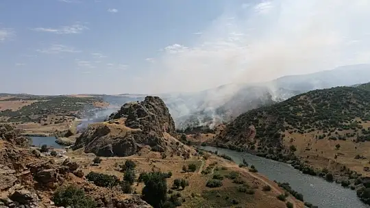 Elazığ'daki yangında 150 dönüm alan zarar gördü