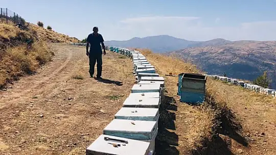 Elazığ'da kovanlar kontrol edildi