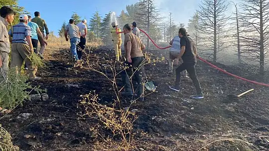 Elazığ'da orman yangınına müdahale sürüyor