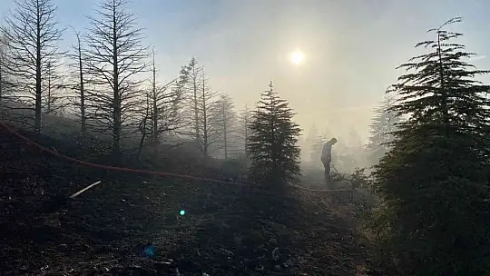 Elazığ'da orman yangınına müdahale sürüyor