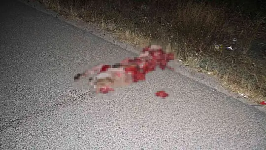 Elazığ'da otomobil önce köpeğe çarptı ardından şarampole yuvarlandı: 3 yaralı