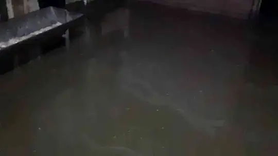 Elazığ'da sağanak yağış sonrası ahırları su bastı