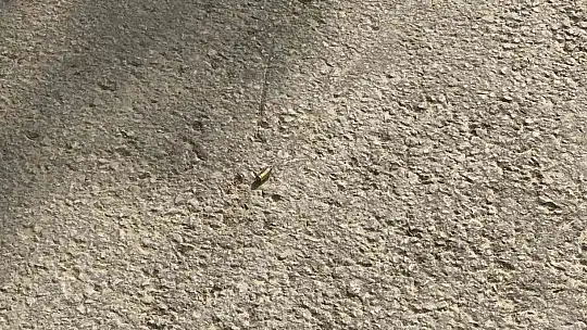 Elazığ'da silahlı kavga: 1 yaralı