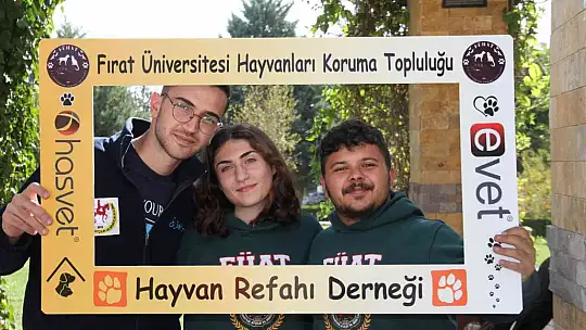 Elazığ'da sokak hayvanları için ev yapıldı