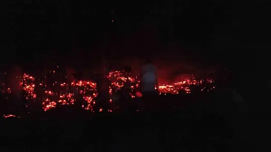 Elazığ'da tarlada çıkan yangını köylüler söndürdü