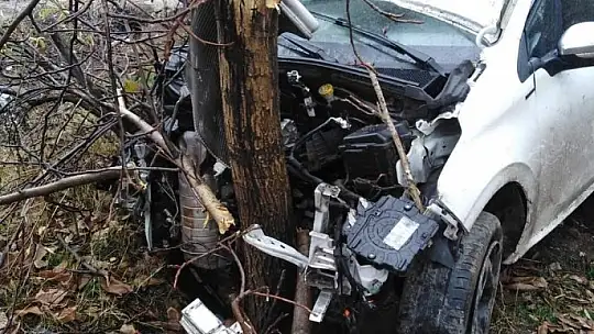 Elazığ'da trafik kazası: 2 yaralı