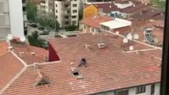 Elazığ'da vatandaşın çatıdaki tehlikeli yürüyüşü yürekleri ağza getirdi