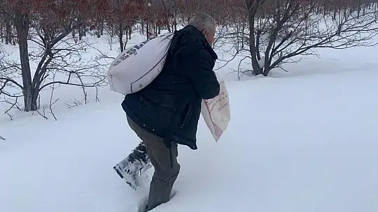 Elazığ'da yaban hayatına bir ayda 7 ton yem bırakıldı