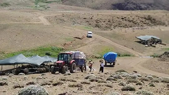 Elazığ'da yaylacılar dönüş hazırlığına başladı