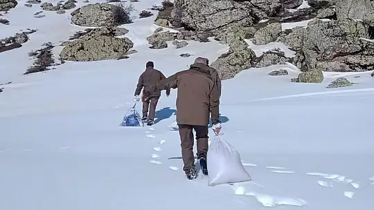 Elazığ'da yemleme çalışmaları sürüyor