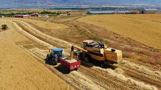 Elazığ'da yılın ilk arpa hasadı gerçekleştirildi
