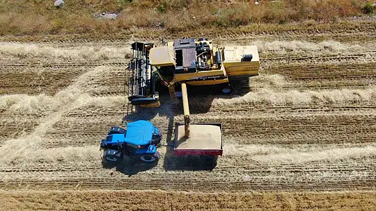 Elazığ'da yılın ilk arpa hasadı gerçekleştirildi