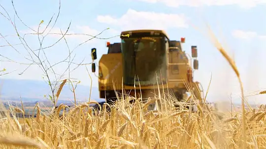 Elazığ'da yılın ilk arpa hasadı gerçekleştirildi