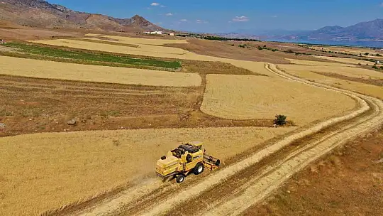 Elazığ'da yılın ilk arpa hasadı gerçekleştirildi