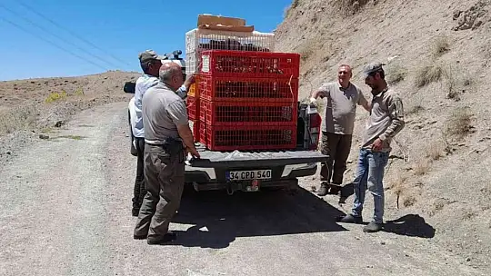 Elazığ'da yüzlerce keklik doğayla buluştu