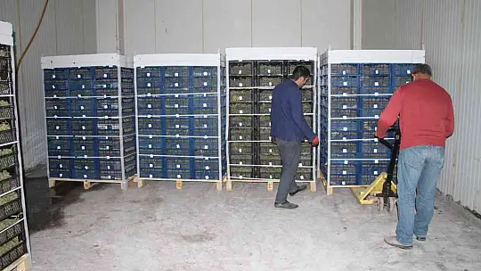Elazığ'dan 8 ülkeye 3 bin ton üzüm ihracatı