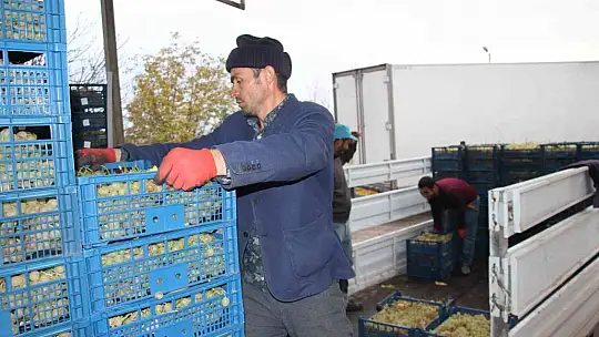 Elazığ'dan 8 ülkeye 3 bin ton üzüm ihracatı