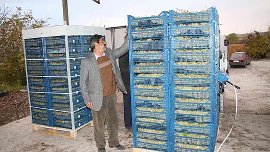 Elazığ'dan 8 ülkeye 3 bin ton üzüm ihracatı