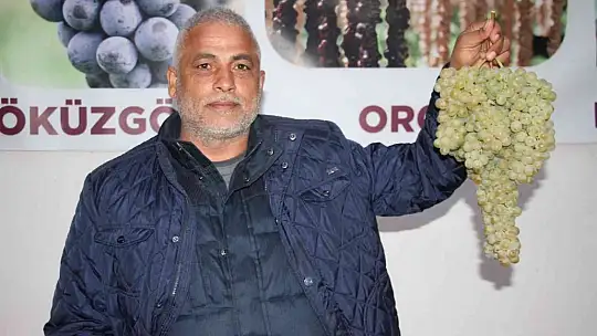 Elazığ'dan 8 ülkeye 3 bin ton üzüm ihracatı