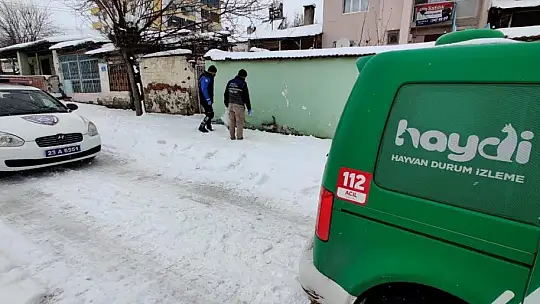 Elazığ HAYDİ ekibi sokak hayvanlarını unutmadı