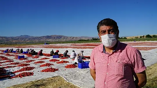 Elazığ'ın domatesi kurutulup dünyaya gönderiliyor