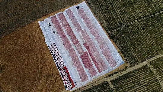 Elazığ'ın domatesi kurutulup dünyaya gönderiliyor