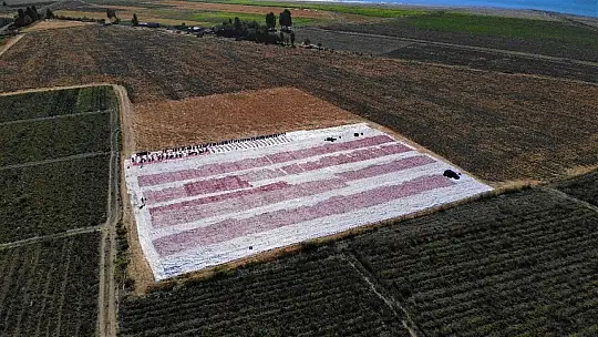 Elazığ'ın domatesi kurutulup dünyaya gönderiliyor