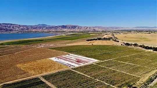 Elazığ'ın domatesi kurutulup dünyaya gönderiliyor