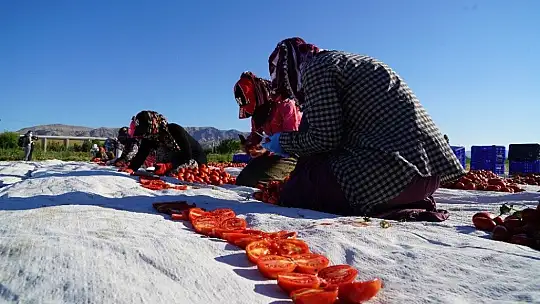 Elazığ'ın domatesi kurutulup dünyaya gönderiliyor