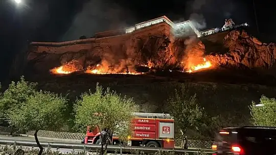 Harput'ta otluk alanda korkutan yangın
