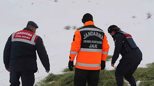 JAK ve HAYDİ ekipleri yaban hayatı için seferber oldu