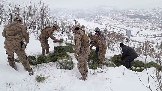 Jandarma ekipleri sokak ve yaban hayvanlarını unutmadı