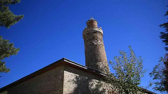 Kadir Gecesi'nde secde ettiği rivayet edilen dut ağacının hikayesi herkesi şaşırtıyor