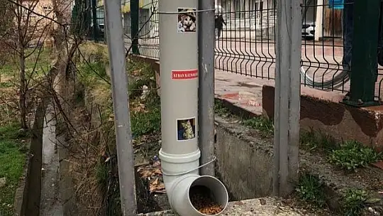 Keban Kaymakamlığı sokak hayvanlarını unutmadı