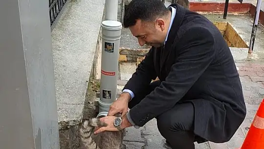 Keban Kaymakamlığı sokak hayvanlarını unutmadı