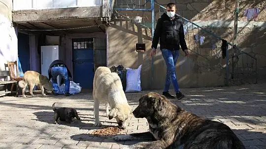 Kış geldi 850 hanelik köy 50'ye düştü