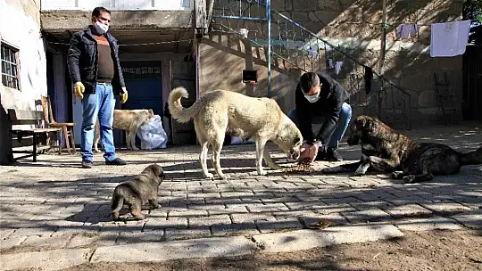Kış geldi 850 hanelik köy 50'ye düştü