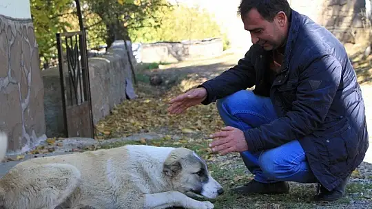 Kış geldi 850 hanelik köy 50'ye düştü