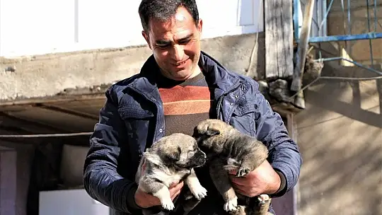 Kış geldi 850 hanelik köy 50'ye düştü