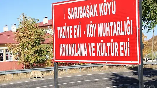 Kış geldi 850 hanelik köy 50'ye düştü