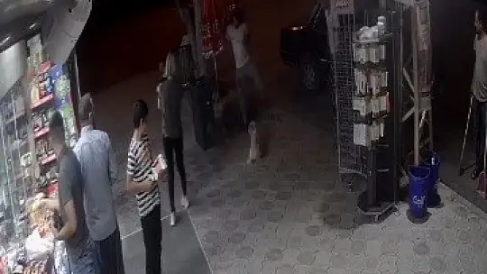 Köpeklere kedi saldırdı, o anlar güvenlik kamerasına yansıdı