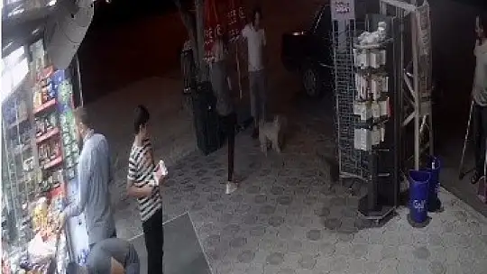Köpeklere kedi saldırdı, o anlar güvenlik kamerasına yansıdı