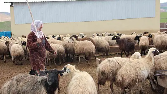 Köye yerleşen 3 çocuk annesi kadın devletten aldığı destekle çiftlik kurdu