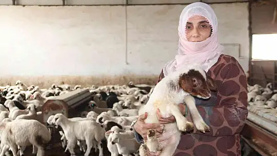 Köye yerleşen 3 çocuk annesi kadın devletten aldığı destekle çiftlik kurdu