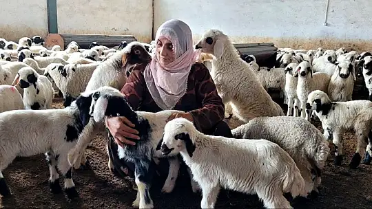 Köye yerleşen 3 çocuk annesi kadın devletten aldığı destekle çiftlik kurdu