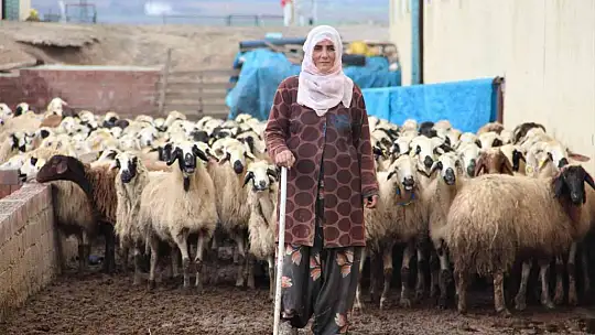 Köye yerleşen 3 çocuk annesi kadın devletten aldığı destekle çiftlik kurdu